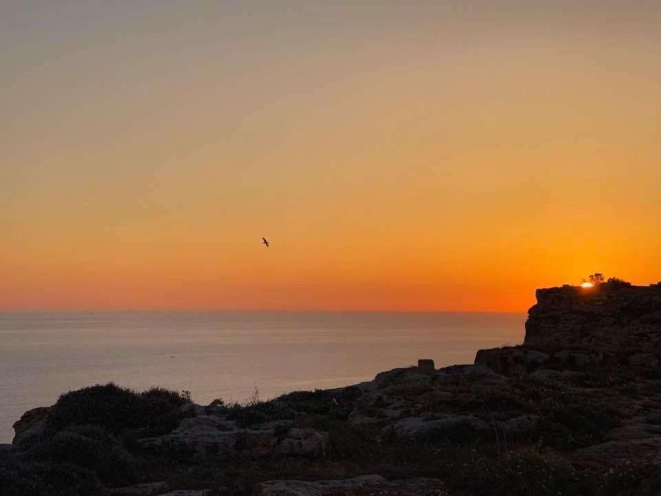 Ta Marie Merhba Zebbug  エクステリア 写真