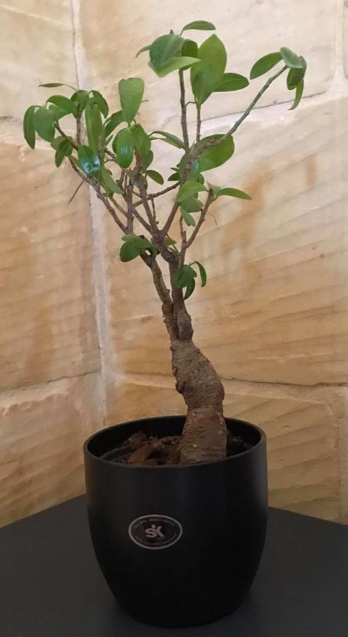 Ta Marie Merhba Zebbug  エクステリア 写真